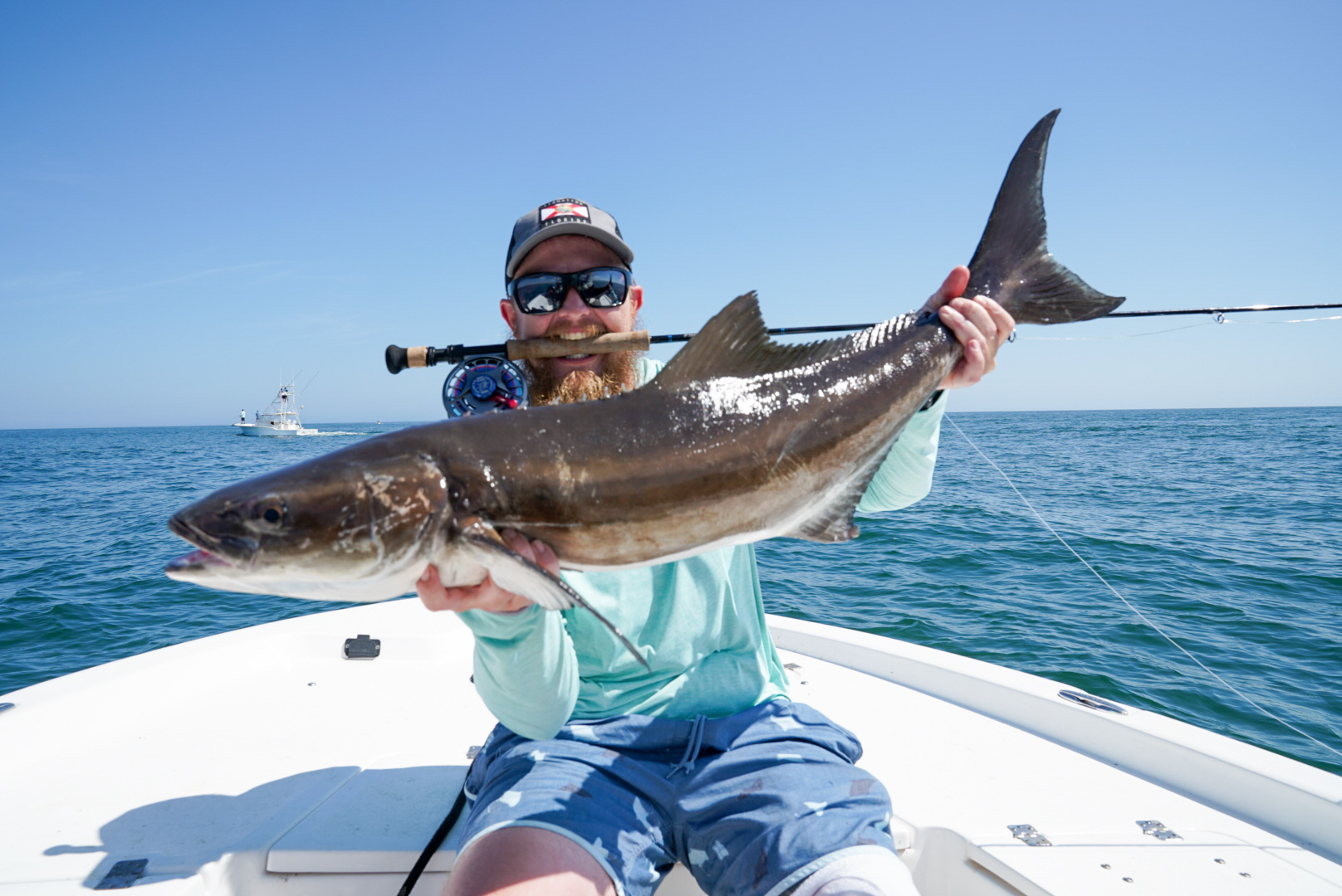 Sight-fishing Obsession: The Spring Cobia Run - Gill Fishing